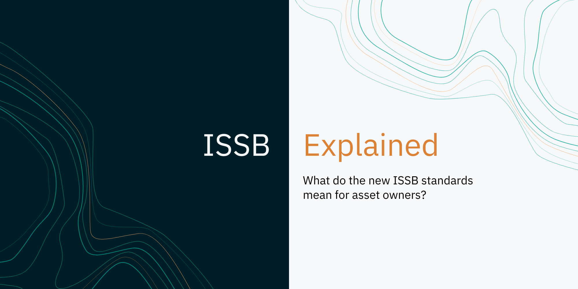 ISSB Explained: What do the new ISSB standards mean for asset owners?
