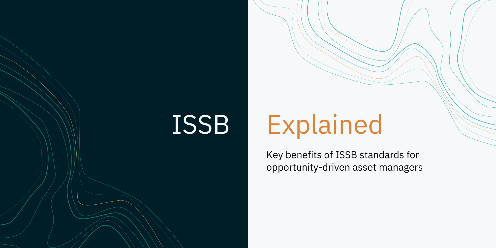 ISSB Explained: Key benefits of ISSB standards for opportunity-driven asset managers